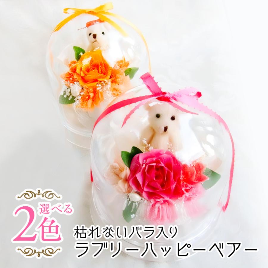 プリザーブドフラワー 送料無料 お祝い 誕生日 枯れない花 バラ カーネーション ベアードーム プレゼント インテリア 造花 ギフト | ブランド登録なし
