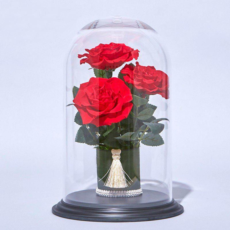 母の日 新作 プリザーブドフラワー 咲き誇る 三輪の 赤いバラ ドーム アレンジ Pc Redrose プリザーブドフラワーギフトclaps 通販 Yahoo ショッピング