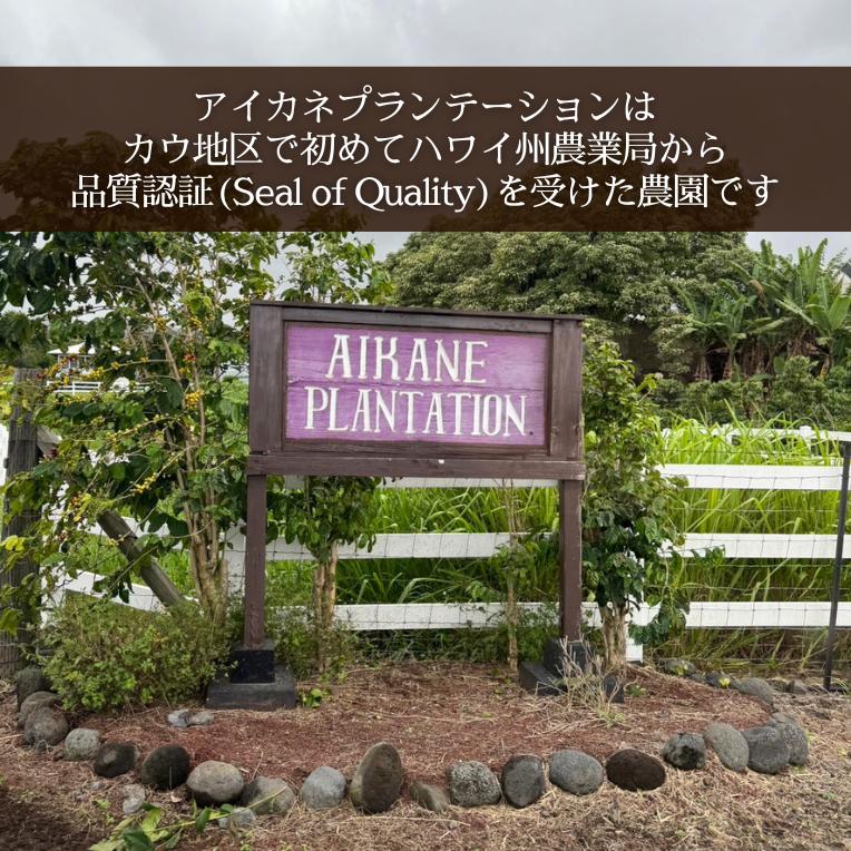 カウコーヒー 大容量 ハワイアンコーヒー ハワイ コーヒー 豆 珈琲 土産 高級 希少 焙煎豆 アイカネ プランテーション 100％ カウコーヒー 16oz 454g_2