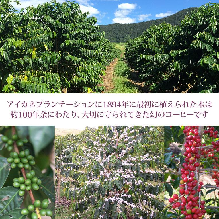 カウコーヒー ハワイ コーヒー ギフト 100％ カウコーヒー 豆 3袋セット ハワイアンコーヒー 珈琲 高級 焙煎豆 お歳暮 アイカネ プランテーション_11