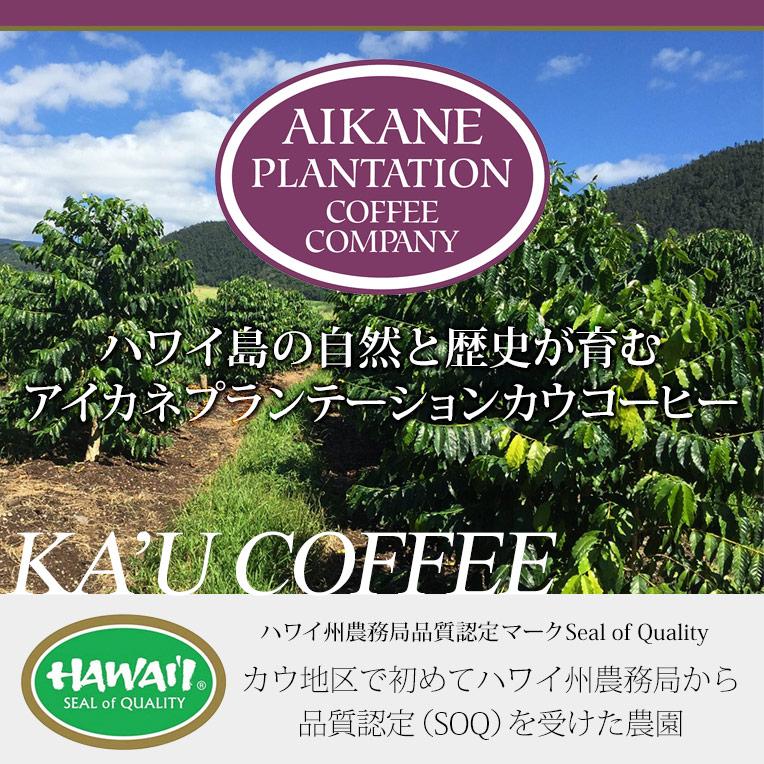 カウコーヒー ハワイ コーヒー ギフト 100％ カウコーヒー 豆 3袋セット ハワイアンコーヒー 珈琲 高級 焙煎豆 お歳暮 アイカネ プランテーション_6