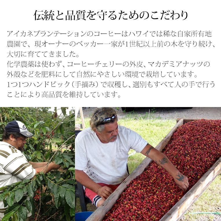 カウコーヒー ハワイ コーヒー ギフト 100％ カウコーヒー 豆 3袋セット ハワイアンコーヒー 珈琲 高級 焙煎豆 お歳暮 アイカネ プランテーション_8