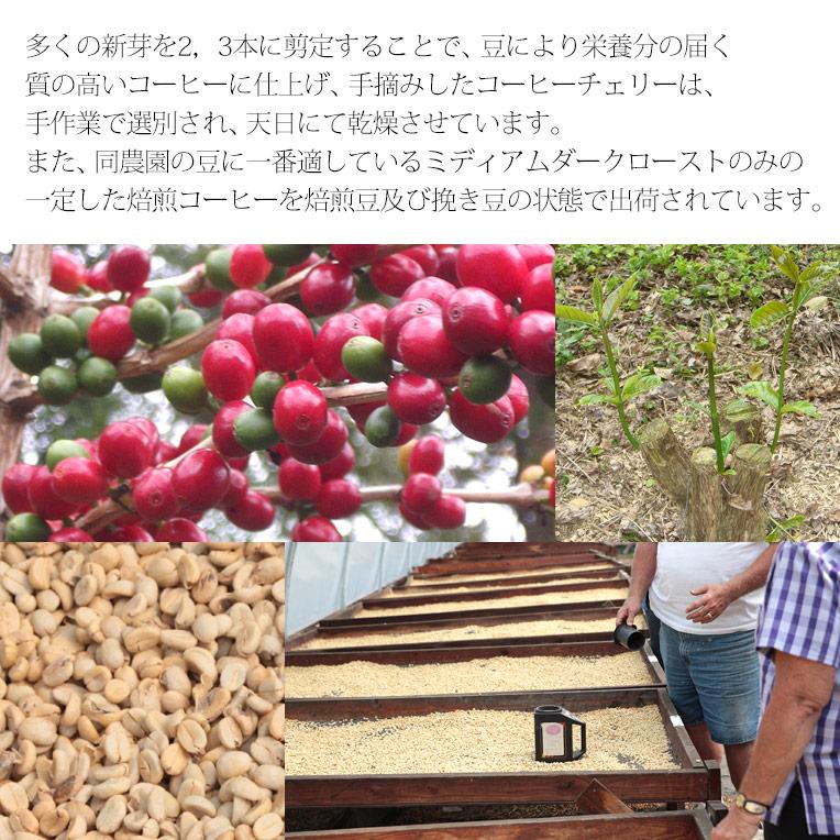 カウコーヒー ハワイ コーヒー ギフト 100％ カウコーヒー 豆 3袋セット ハワイアンコーヒー 珈琲 高級 焙煎豆 お歳暮 アイカネ プランテーション_9