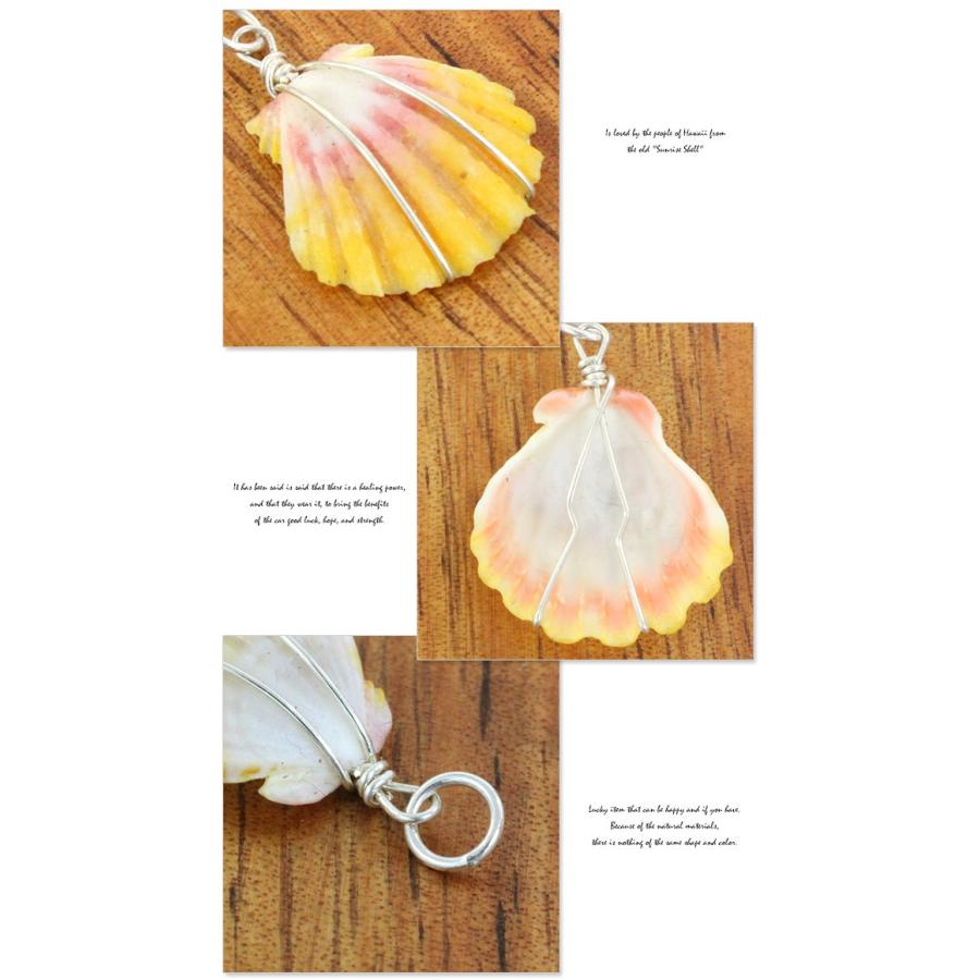 ハワイ 貝 シェル パーツ 在庫限定商品 サンライズシェル トップ ピアスパーツ ギフト プレゼント Hj Ss13 Clara Hawaiian Select Shop 通販 Yahoo ショッピング