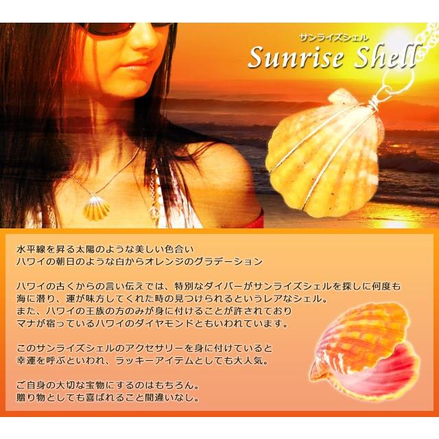 ハワイ 貝 シェル アクセサリー パーツ 在庫限定商品 メリーモナーク