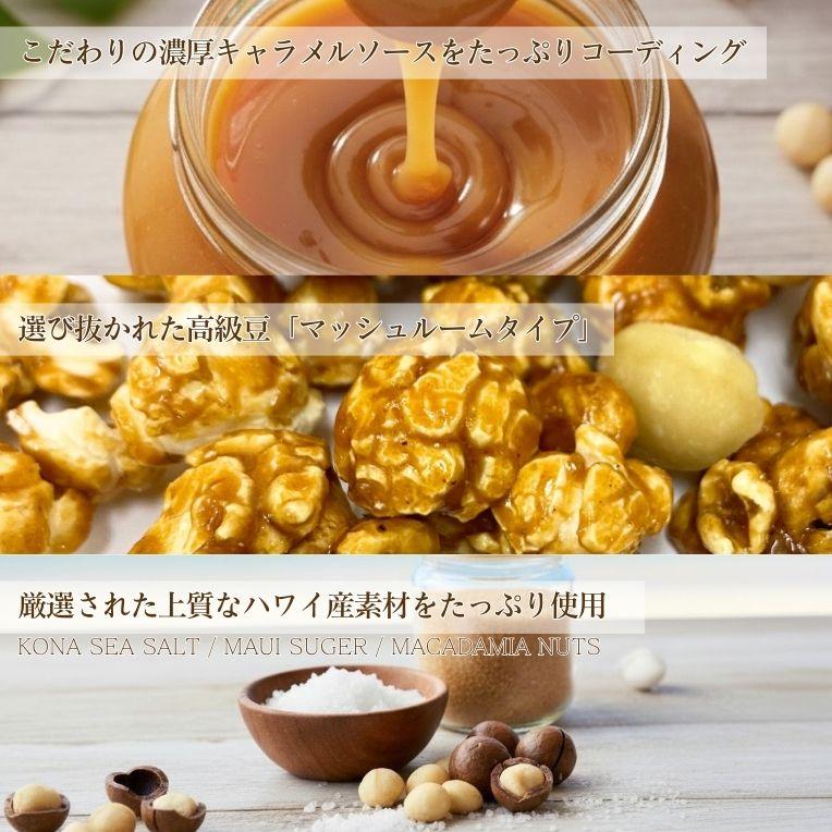 ポップコーン焼き塩味セット　10セット500人分 ポップコーン 塩味 13g×20袋入 (株)やおきん : 善野菓子店 Yahoo