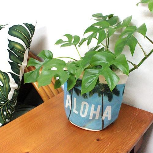 鉢カバー プランターカバー Seven Island プラントポーチ 植木鉢 花 ガーデン インテリア Diy プランターカバー Si11 Clara Hawaiian Select Shop 通販 Yahoo ショッピング