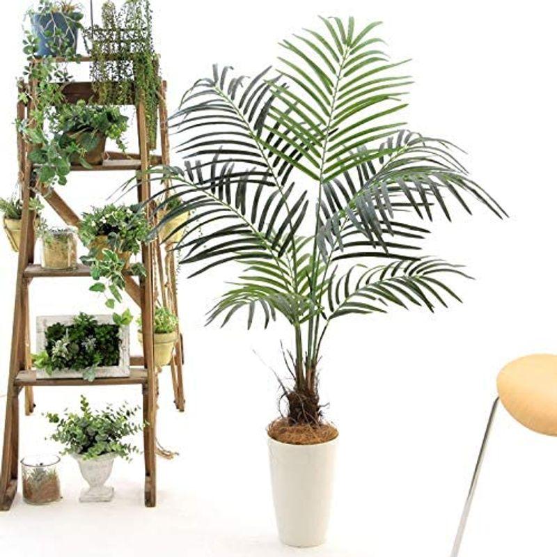 造花ドットコム プレミアム 光触媒 消臭 フェイクグリーン 「南国 西海岸 ハワイ アレカパーム ヤシ 高さ110cm 幅80cm 奥行80 消臭 造花ドットコム プレミアム 光触媒 フェイクグリーン 南国 西海岸 ハワイ アレカパーム ヤシ 高さ110cm 幅80cm 奥行80
