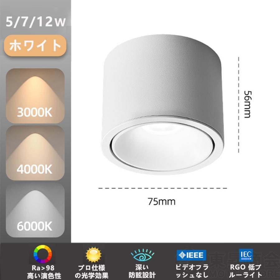 シーリングライト led対応 ダウンライト スポットライト 照射角度調節可能 照明器具 間接照明 おしゃれ 北欧 居間用 寝室 和室 小型 簡単設置 工事不要｜clarity4c｜02