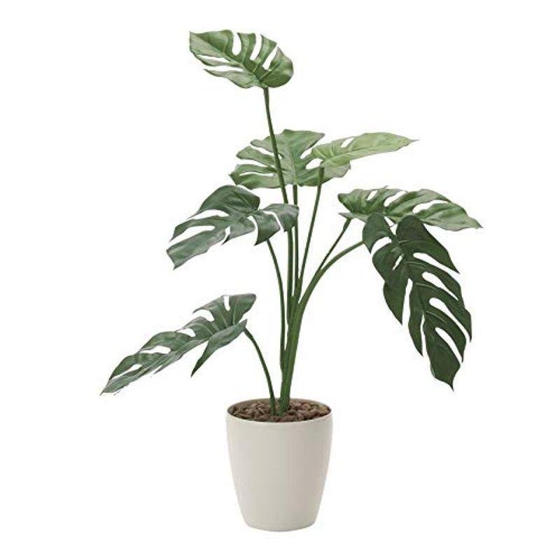 6317円 最大72 Offクーポン 光触媒 人工観葉植物 光の楽園 モンステラ75 225g100