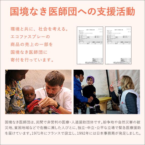 エコファ ウィルス・細菌・シックハウス対策スプレー(300mlタイプ)ウィルス、細菌、有害物質の除菌＆分解、抗菌、消臭効果【ECOFUR】24本セット ウィルス 細菌