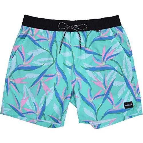 新着商品 ハーレー Hurley サーフパンツ メンズ 水着 男性 ボードショーツ ショートパンツ サーフィン 海 プール 夏 32 Xl Playa Volley オーロラグリーン 手数料安い Www Kslcity Com My