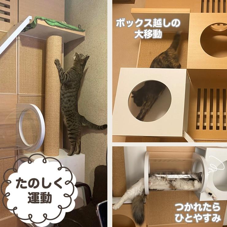 メーカー直送) CATTOPIA 4連結 A-554 工事不要 キャットタワー