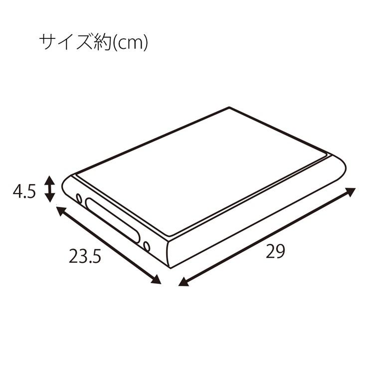 メーカー直送) GECKO カホン フラットパッド ショルダーケース付