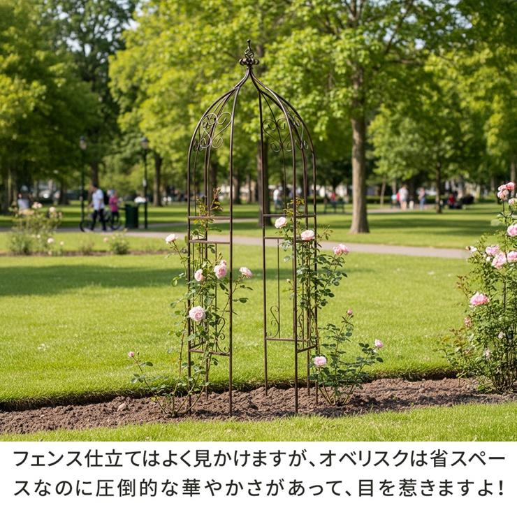 メーカー直送) 屋外 おしゃれ 庭 アイアンハーフアーチ(オベリスク