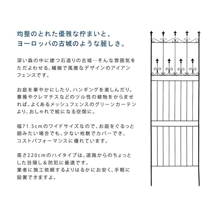 屋外 おしゃれ 庭 オールドシャトーフェンス ハイタイプ2枚組 ブラック 黒 OC001H-2P-BLK 目隠し 柵 アンティーク風 【水平】