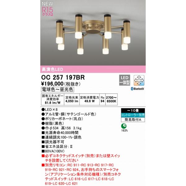 超特価【新品】シャンデリア照明　OC257010PR オーデリック シャンデリア 【OC257234】【OC 257 234】 : 住宅