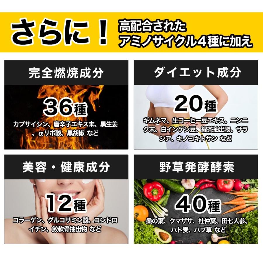 H＆Yo fitness 燃焼系サプリ ダイエットサプリ L-カルニチン α