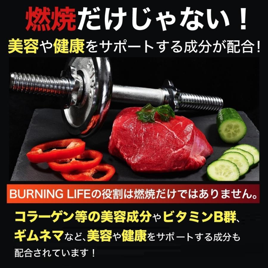 エリナ ファットファイヤー 2個 脂肪 Lカルニチン 賞味期限2026年4月