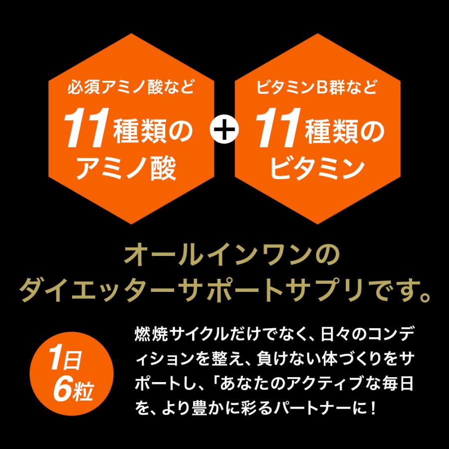 H＆Yo fitness 燃焼系サプリ ダイエットサプリ L-カルニチン α‐リポ酸