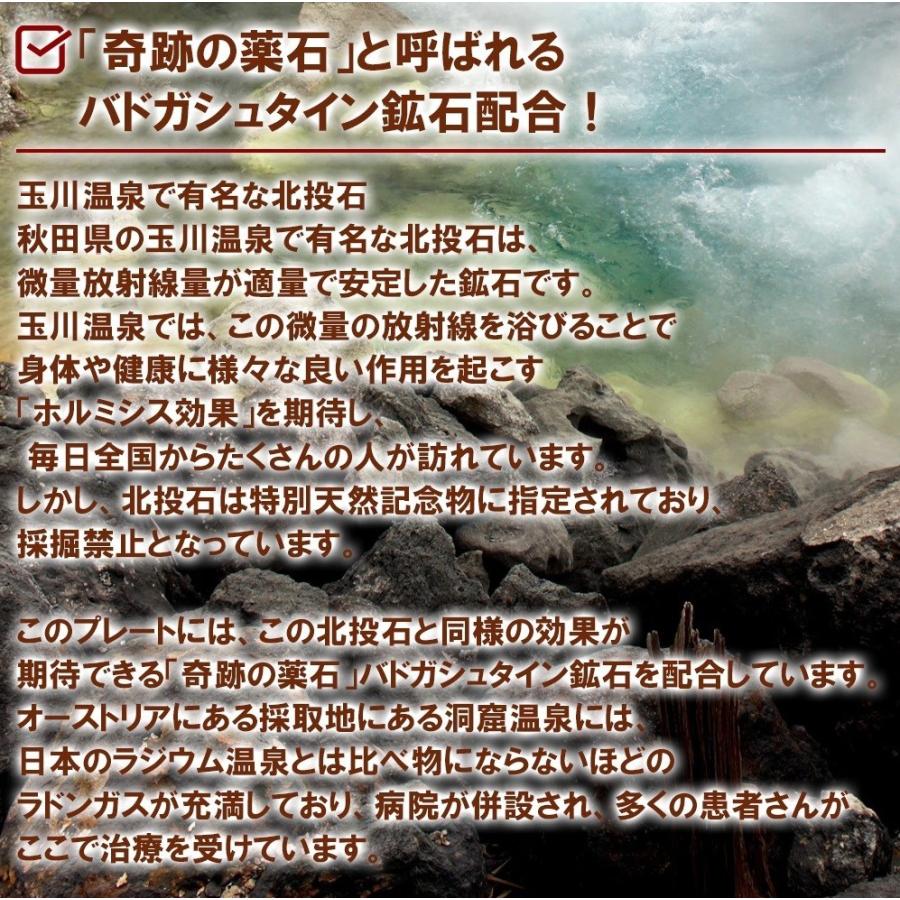 NEW ラドン ラジウム岩盤浴マット ラドンガス マイナスイオンの発生量が増加 ホルミシスマット ホルミシス効果 遠赤外線 ラドンスティック付 |  | 12