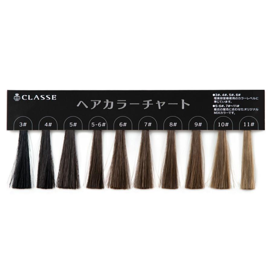 ウィッグ専門店が作った 髪色チェック用ヘアカラーチャート 最新 ウィッグ専門店が作った 髪色チェック用ヘアカラーチャート 最新