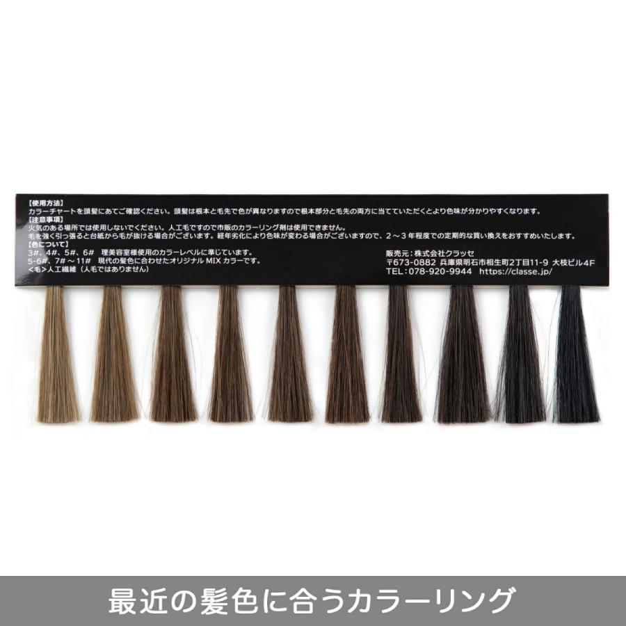 ウィッグ専門店が作った 髪色チェック用ヘアカラーチャート 最新色