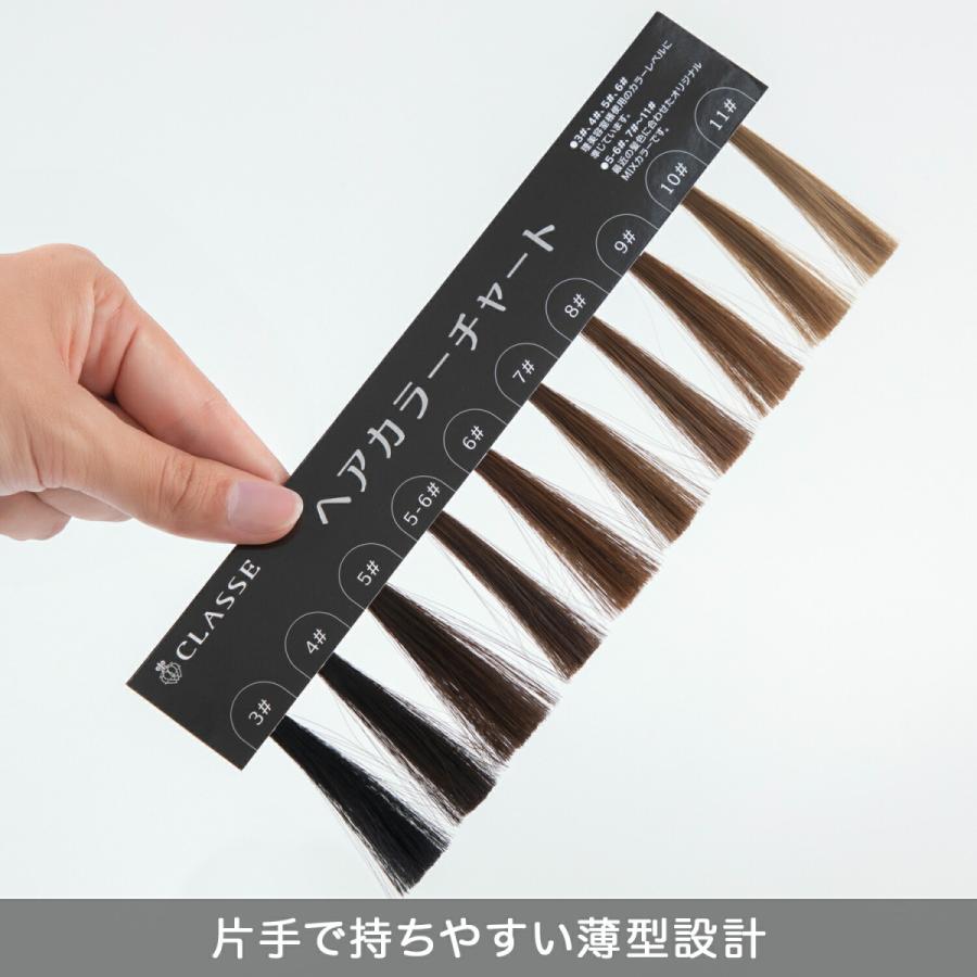 ウィッグ専門店が作った 髪色チェック用ヘアカラーチャート 最新色