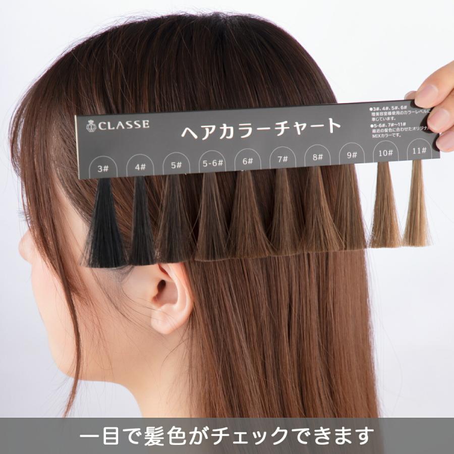 ウィッグ専門店が作った 髪色チェック用ヘアカラーチャート 最新色  