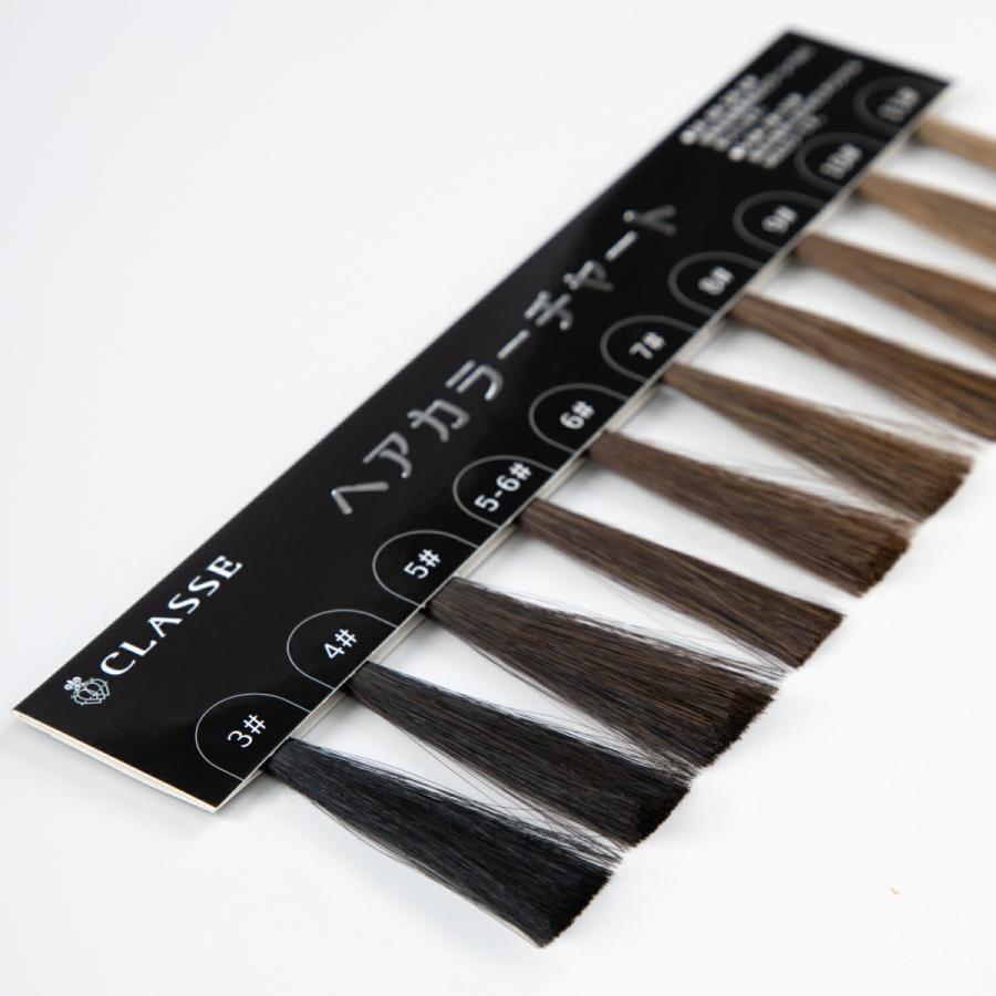 ウィッグ専門店が作った 髪色チェック用ヘアカラーチャート 最新色  