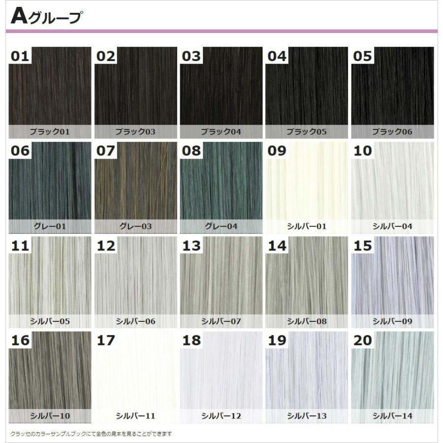 コスプレ ウィッグ クラッセ プロ CLASSE PRO ワイルドウルフ