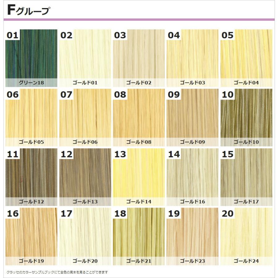 コスプレ ウィッグ クラッセ プロ CLASSE PRO ワイルドウルフ