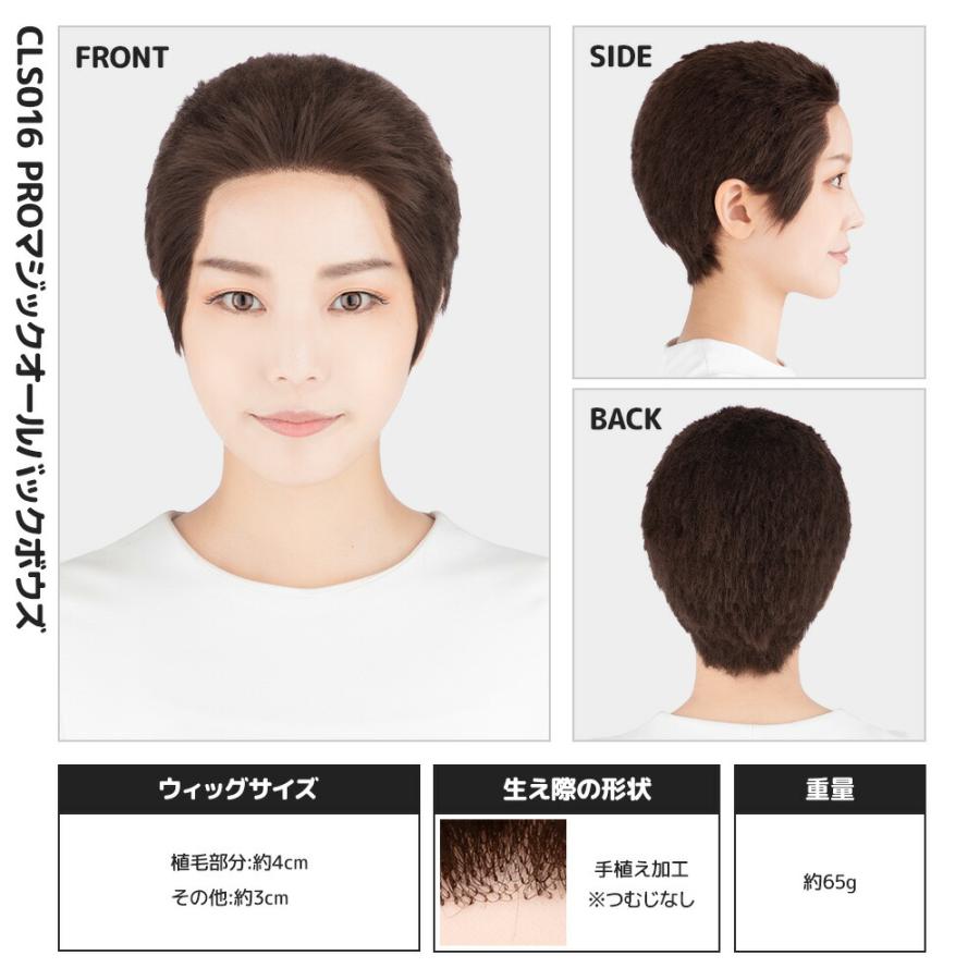 コスプレ ウィッグ クラッセ プロ CLASSE PRO マジックオールバック