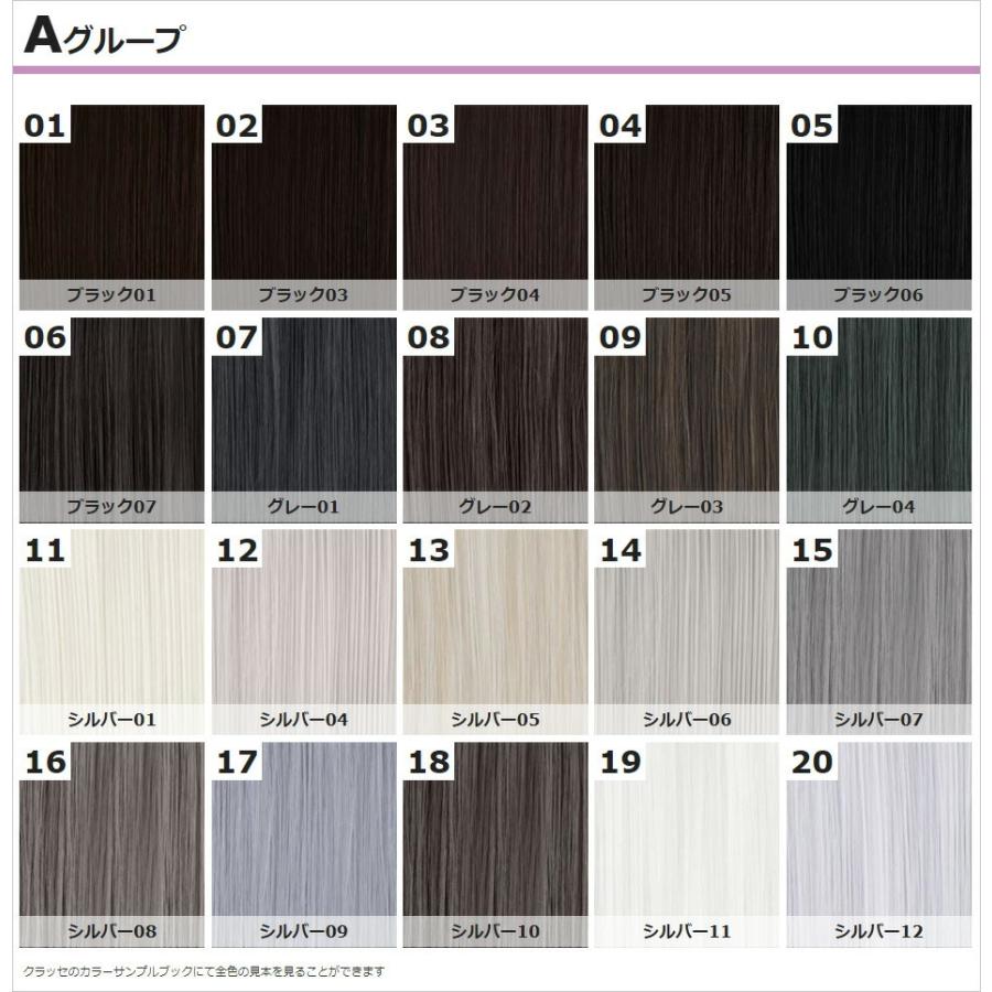 クラッセ プロ 特価キャンペーン Classe Pro レディース メンズ 女装 男装 黒 茶 フロントレース 金 コスプレ 耐熱 Ver 2 生え際パーツ ウィッグ