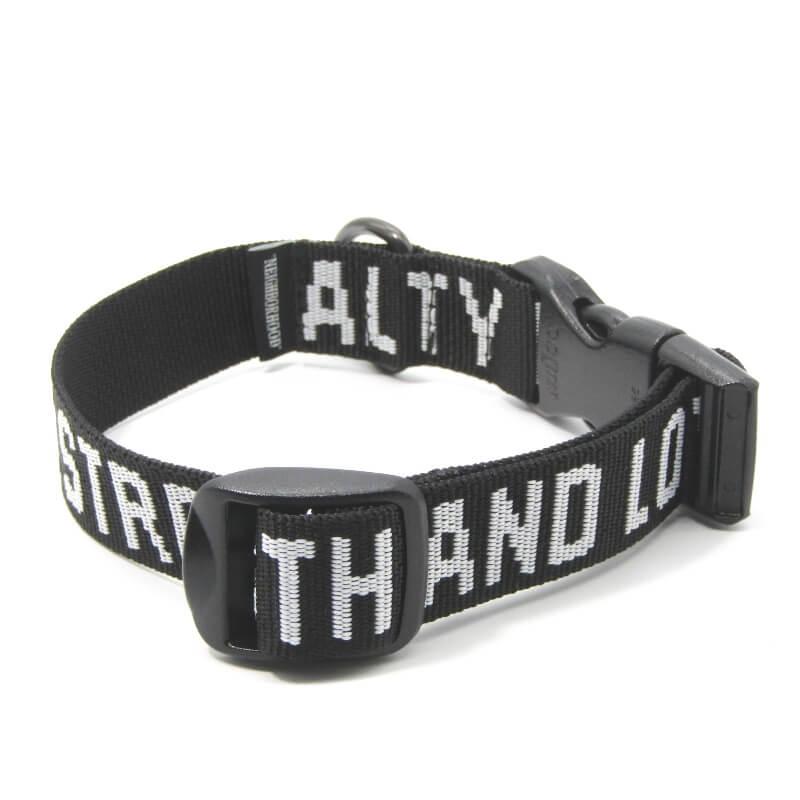 新品NEIGHBORHOOD JQ .BELT . PA Dog リード 新品未使用 NEIGHBORHOOD ネイバーフッド dog lead リード