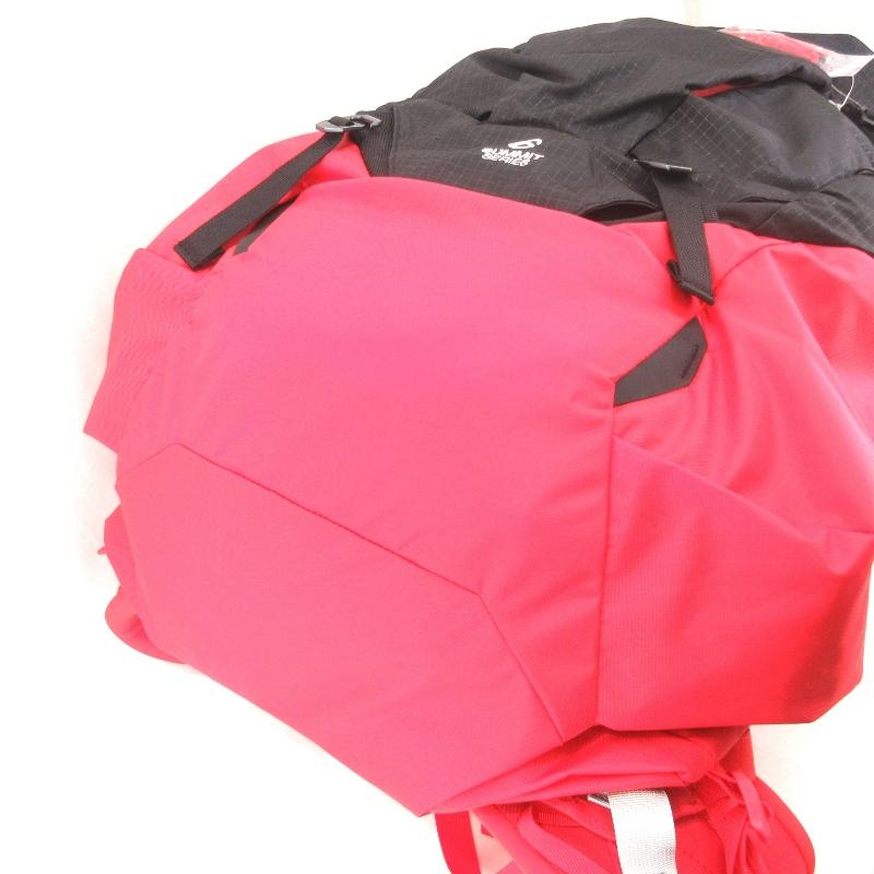 THE NORTH FACE 未使用 ノースフェイス バックパック NM61800 プロ 