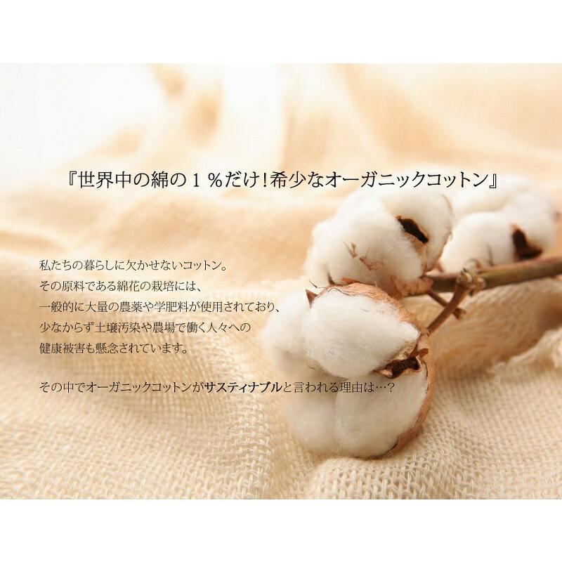 【sustaina+】レディース ボトムス パンツ 暖か 吸湿発熱 オーガニック コットン イージー フレア パンツ 大きいサイズ ゴム ゆったり 秋 冬 S M L XL | classicalelf | 03