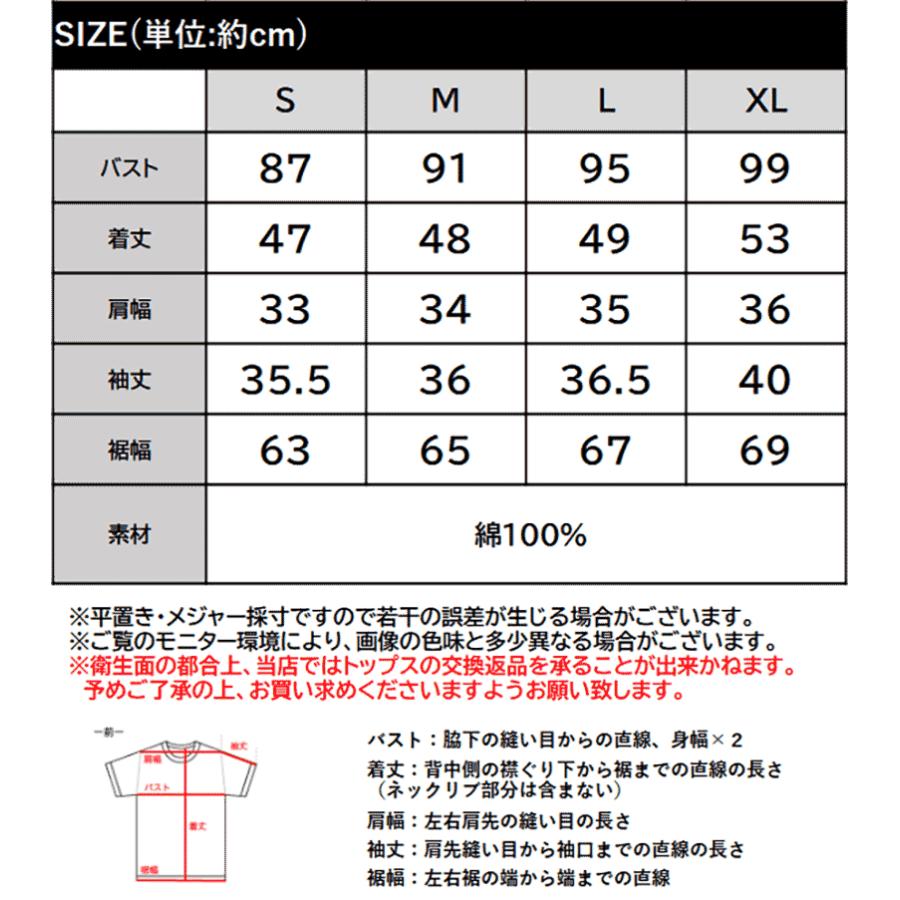 【 クラシカルエルフ classical elf 】 ブラウス レディース 半袖 レース トップス ショート丈 花柄 フラワー Vネック 綿100％ 大人っぽい | classicalelf | 18