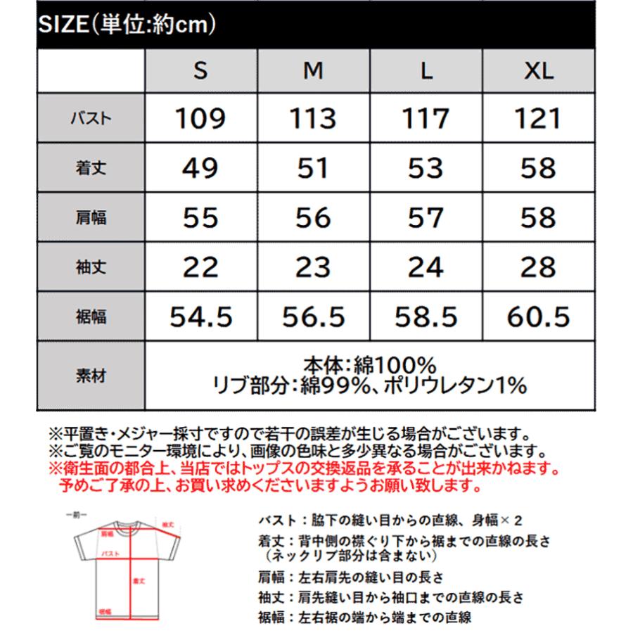 【 クラシカルエルフ classical elf 】 tシャツ レディース 半袖 トップス カットソー 綿100％ こなれ見え フェミニン カジュアル 定番 大人カジュアル | classicalelf | 15