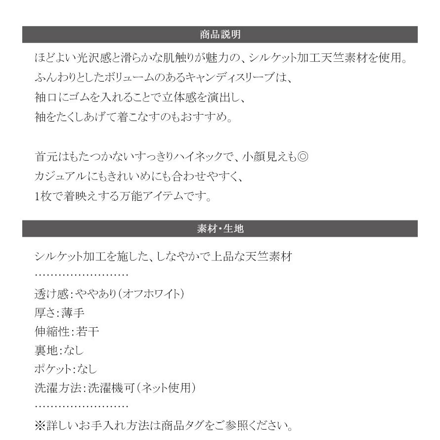 【 クラシカルエルフ classical elf 】 トップス Tシャツ レディース カットソー ロンT 長袖 ハイネック キャンディスリーブ 微光沢 上品 | classicalelf | 17