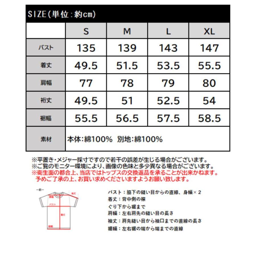 【 クラシカルエルフ classical elf 】 tシャツ レディース 半袖 トップス カットソー 前後2WAY シルケット コンビ ペプラム 大人フェミニン 前後2way | classicalelf | 13