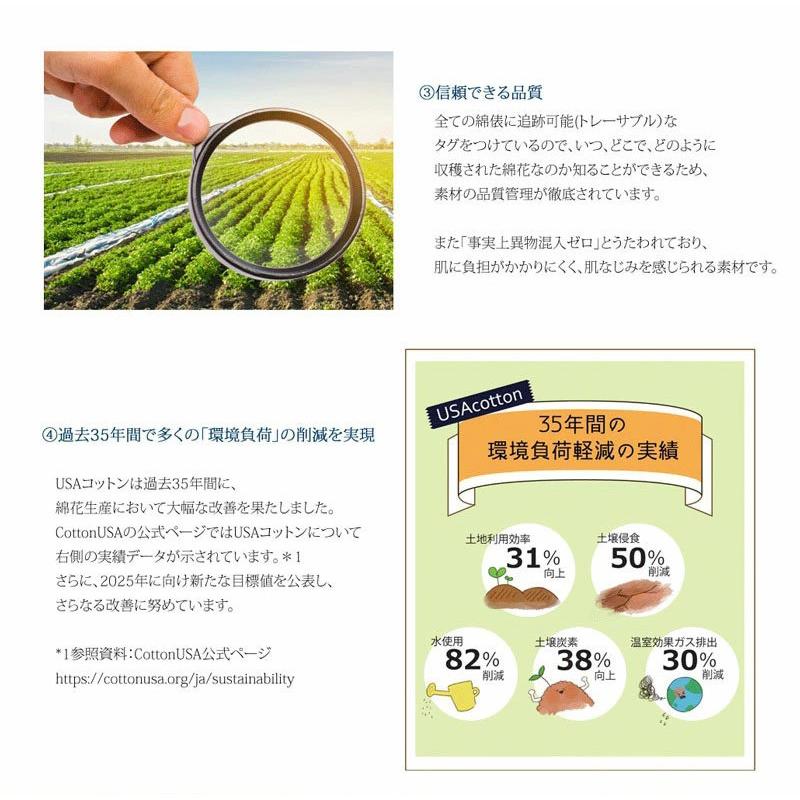 メール便 cl5015 クルーネックt モックネック 無地t フレンチラグラン 夏 初夏 新作 シンプル 半袖 | classicalelf | 05