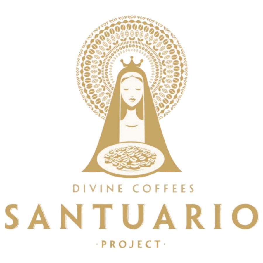 コーヒー豆 スペシャリティコーヒー サントゥアリオ農園 コロンビア ブルボン 中深煎 豆のまま 150g | CLASSICAL COFFEE ROASTER | 02