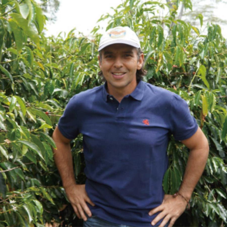 コーヒー豆 スペシャリティコーヒー サントゥアリオ農園 コロンビア ブルボン 中深煎 豆のまま 150g | CLASSICAL COFFEE ROASTER | 03