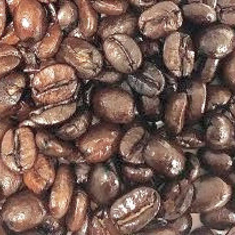 コーヒー豆 スペシャル グルメ コーヒー kyoto農園 コロンビア 中深煎り 1/3pound （150g）【 豆 or 挽 】ベターグレード | CLASSICAL COFFEE ROASTER | 02