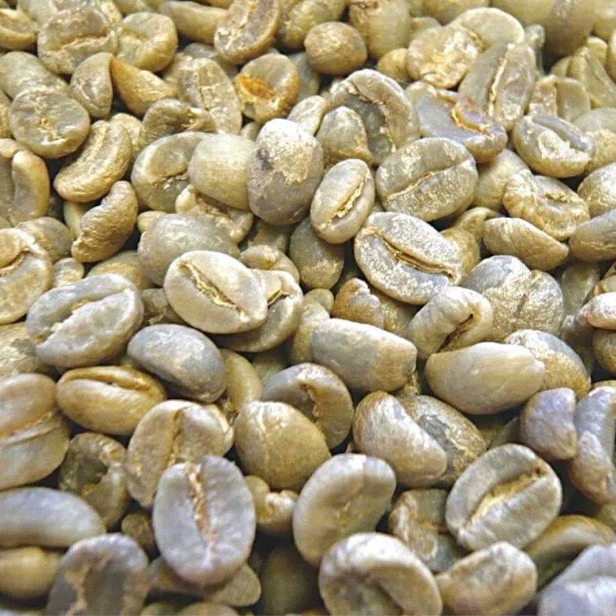 アラビカコーヒー生豆 グアテマラ SHB Guatemala SHB 3kg 自家焙煎 |  | 03