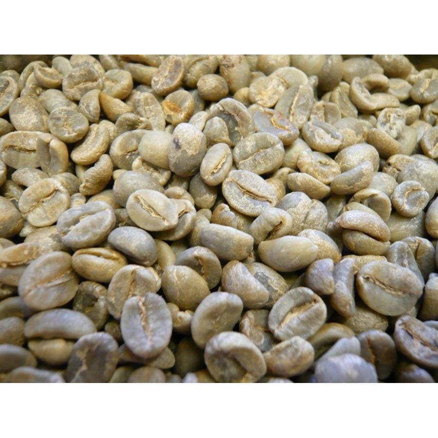 ふるさと納税 関市 カフェ・アダチ　完熟豆にこだわって仕入れた　ブラジル  1kg(100杯分) S20-07
