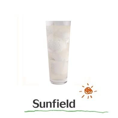 三田飲料レモンエード 有糖 紙パック 1000ml 業務用 レモンサワー レモネード カクテル 製菓材 | Sunfield | 01