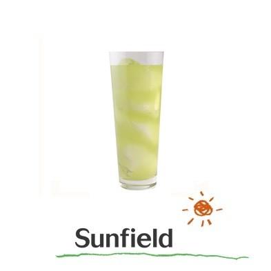 三田飲料 青りんごエード 紙パック 1000ml 業務用 カクテル 屋台 おまつり GREENAPPLE | Sunfield | 01