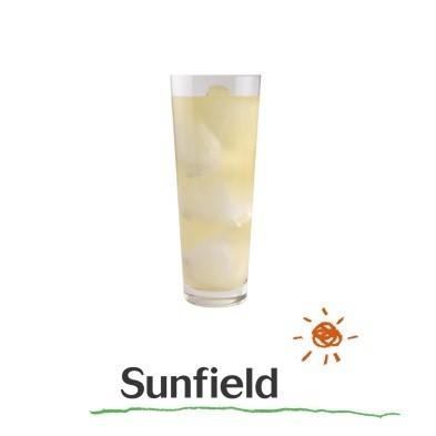 Sunfield（サンフィールド） 三田飲料 パインエード 1000ml×12本